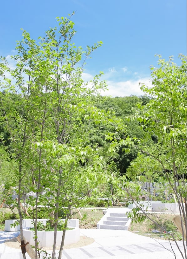 空が見える自然豊かな霊園風景