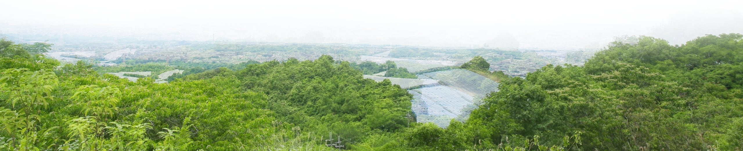 空前のパノラマが広がるはびきの中央霊園風景