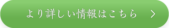 ボタン