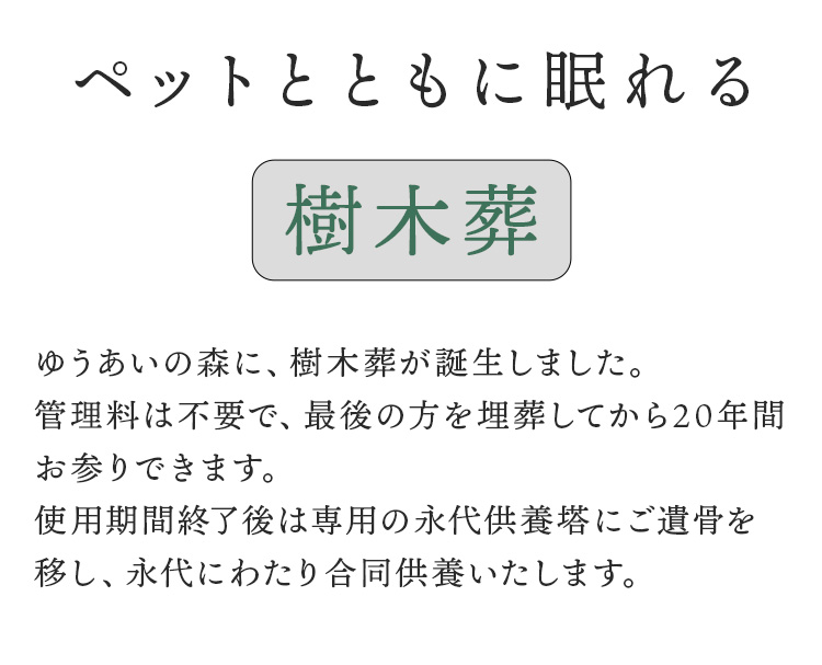 ペットとともに眠れる