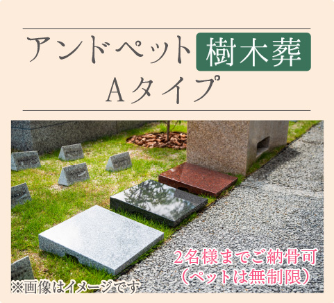 Aタイプ