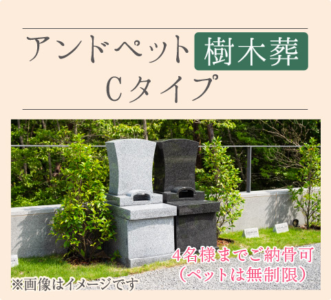 Cタイプ