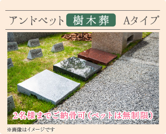 Aタイプ