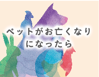 ペットがお亡くなりになったら