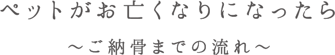 ペットがお亡くなりになったら ～ご納骨までの流れ～