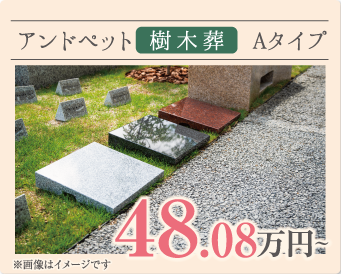 アンドペット樹木葬 Aタイプ 48.08万円～