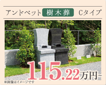 アンドペット樹木葬 Cタイプ 115.22万円～