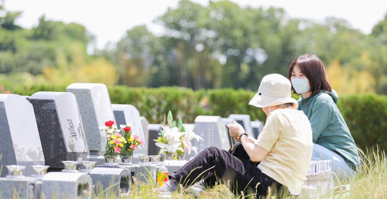 フォトギャラリー