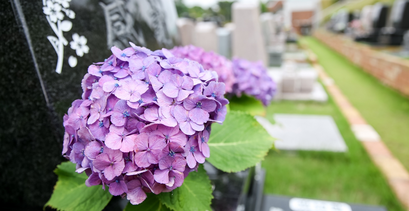 フォトギャラリー