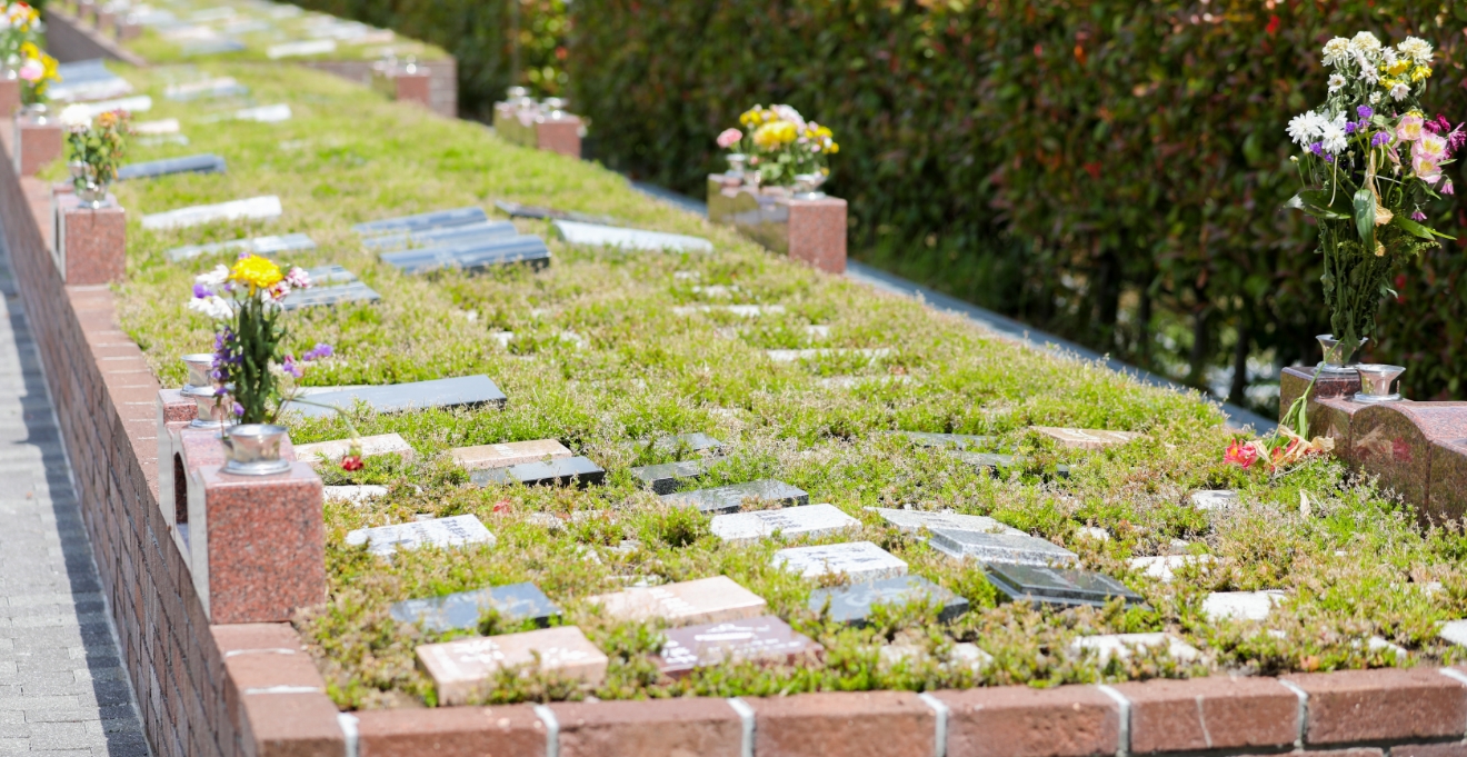 フォトギャラリー