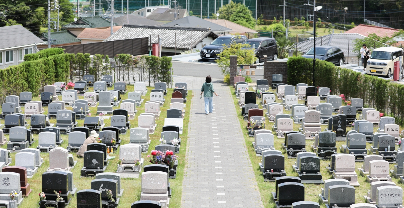 フォトギャラリー