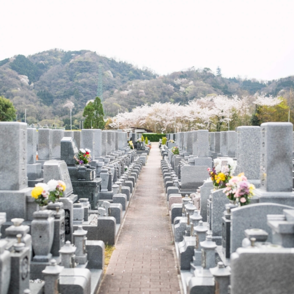 代々墓（永代供養付き）