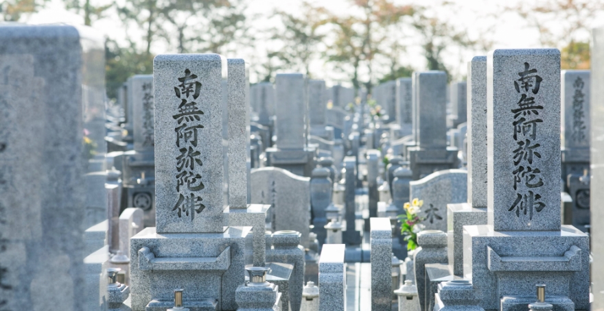 フォトギャラリー