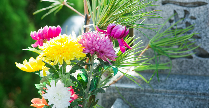 フォトギャラリー