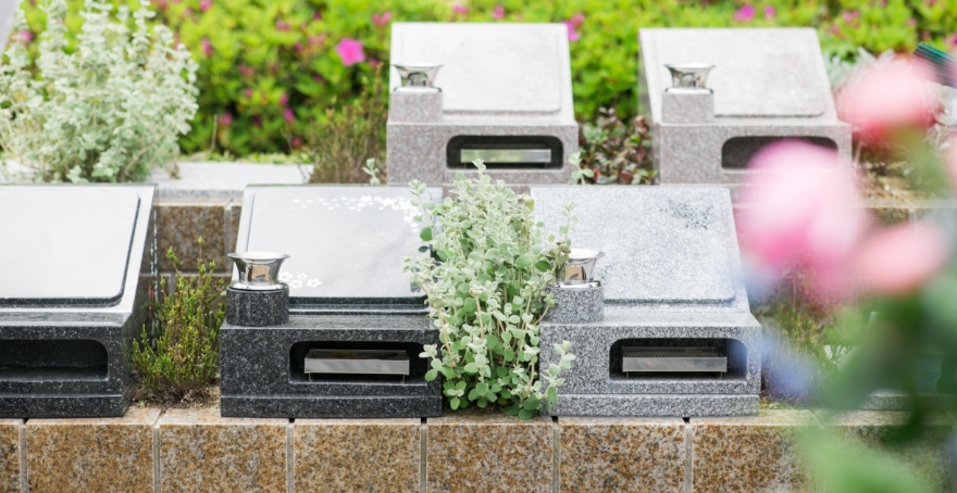 フォトギャラリー