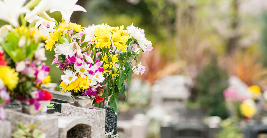 フォトギャラリー