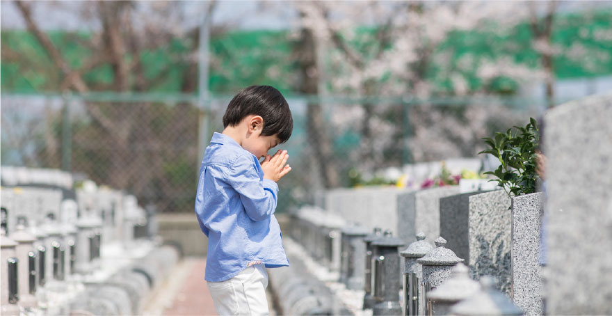 フォトギャラリー