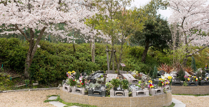 フォトギャラリー