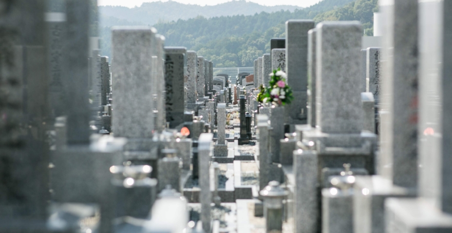 フォトギャラリー