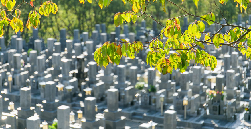 フォトギャラリー