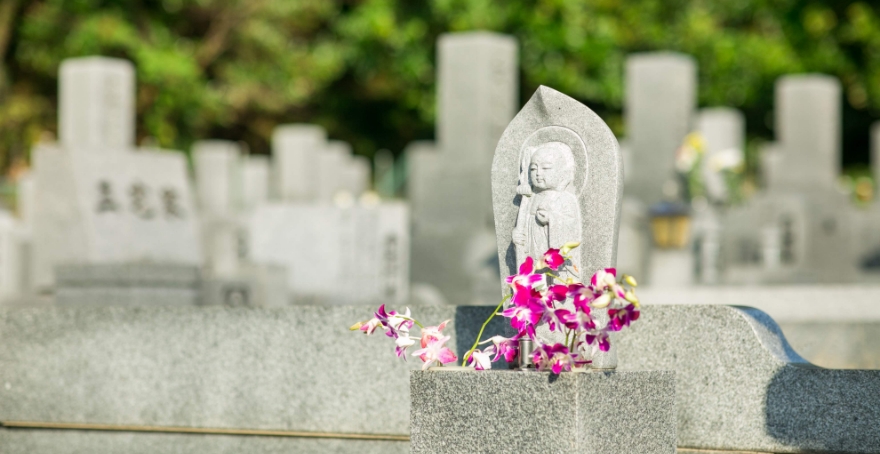 フォトギャラリー