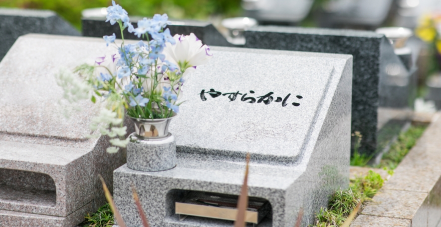 フォトギャラリー