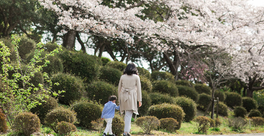 フォトギャラリー