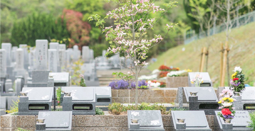 フォトギャラリー