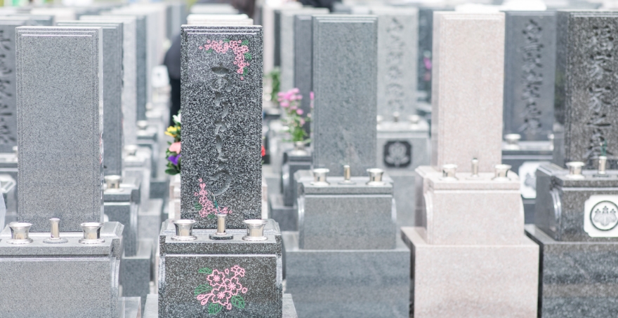 フォトギャラリー