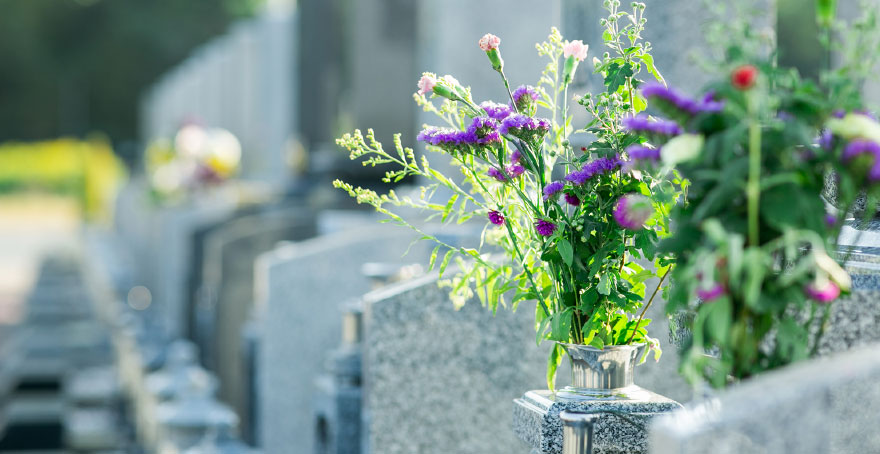 フォトギャラリー