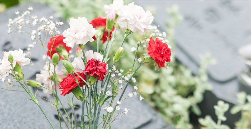 フォトギャラリー