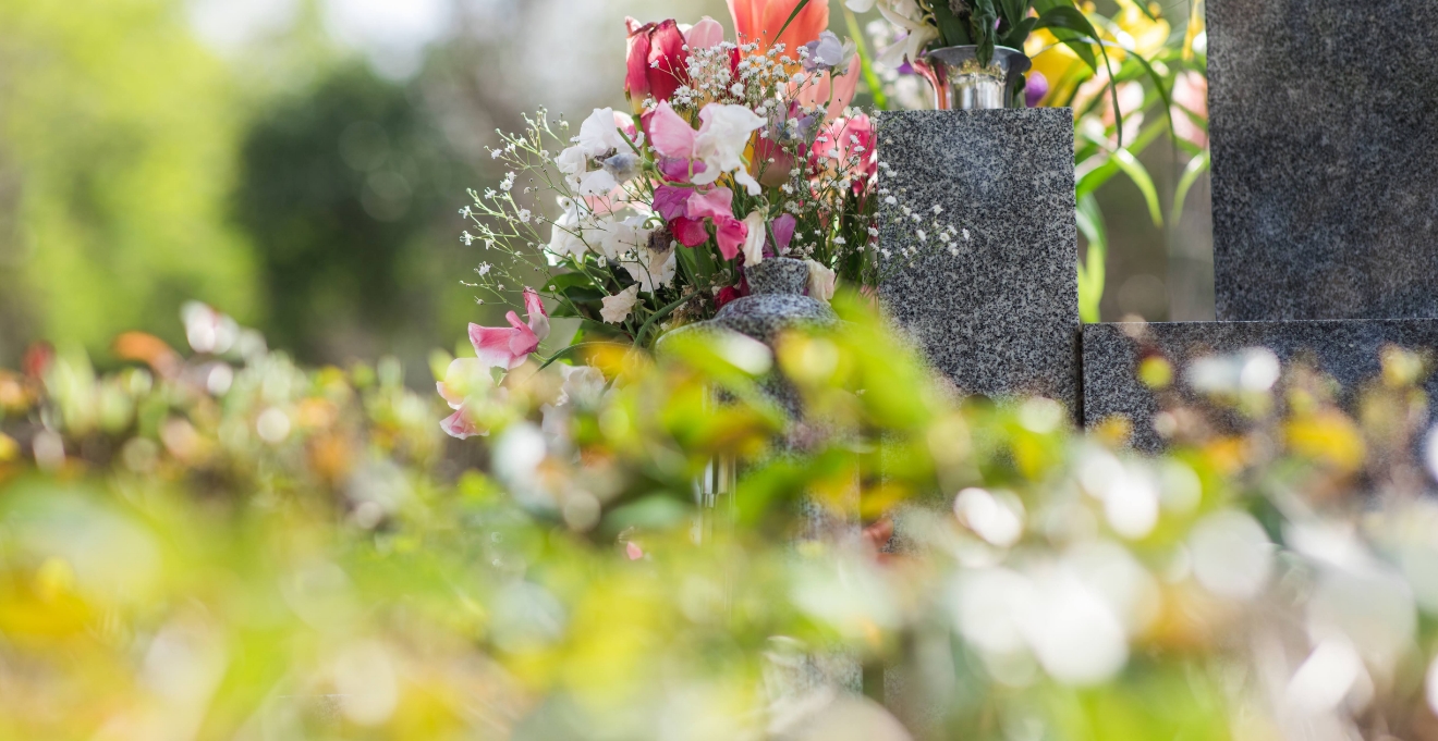 フォトギャラリー