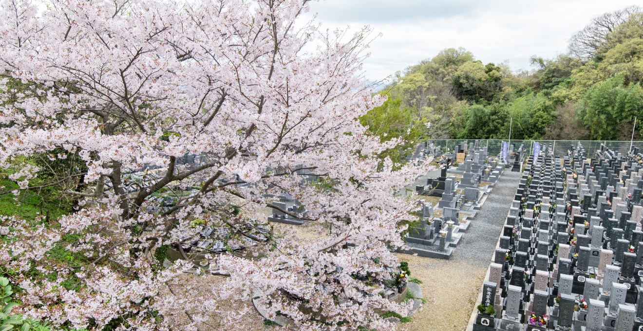 フォトギャラリー