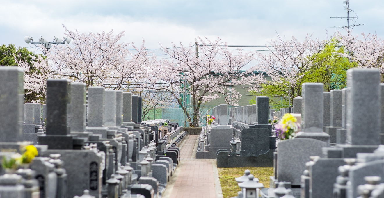 フォトギャラリー