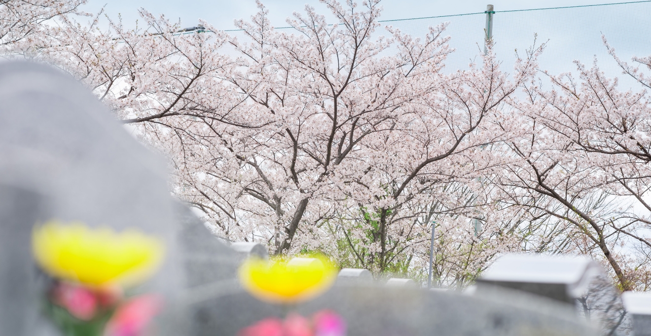 フォトギャラリー