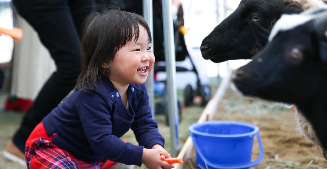 ふれあい動物園（5月）
