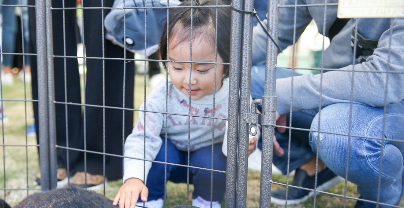 ふれあい動物園（5月）