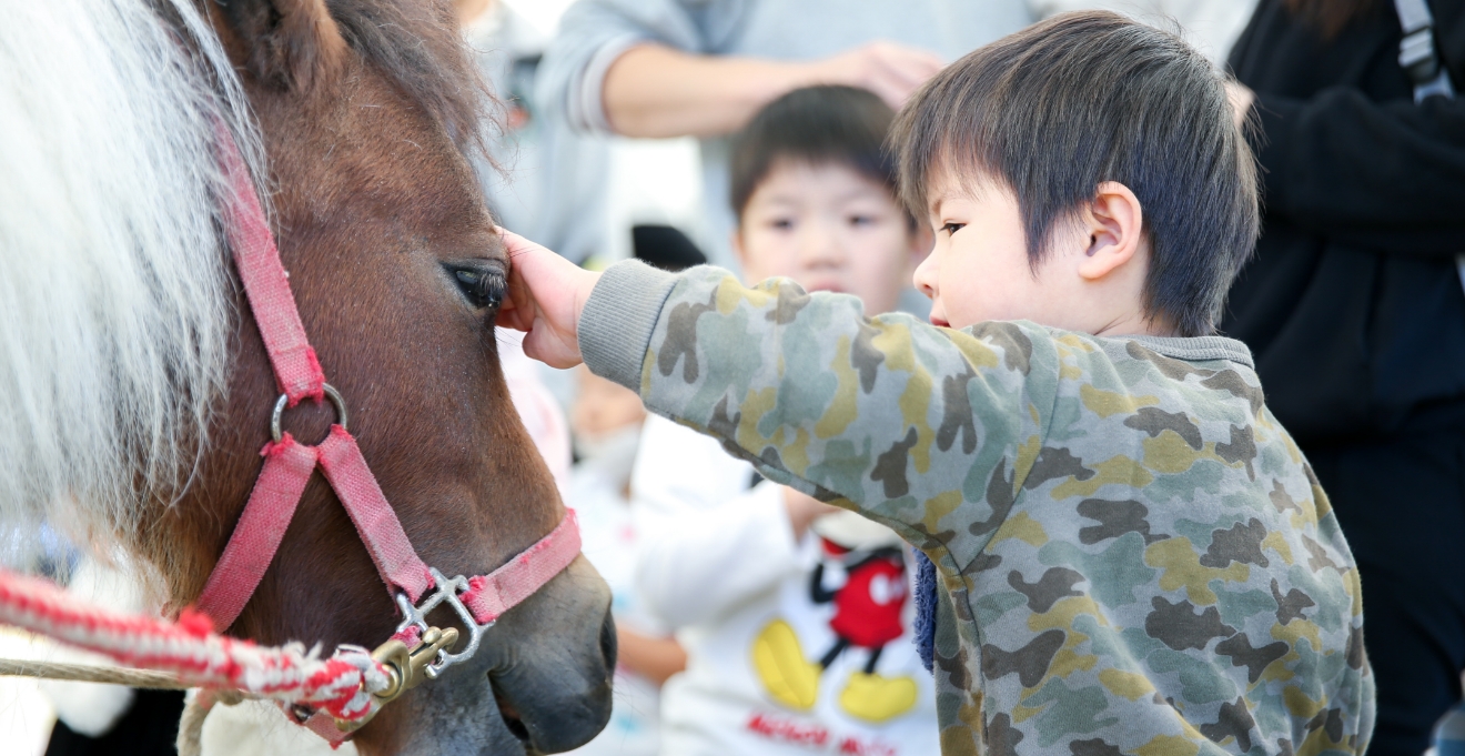 ふれあい動物園（5月）