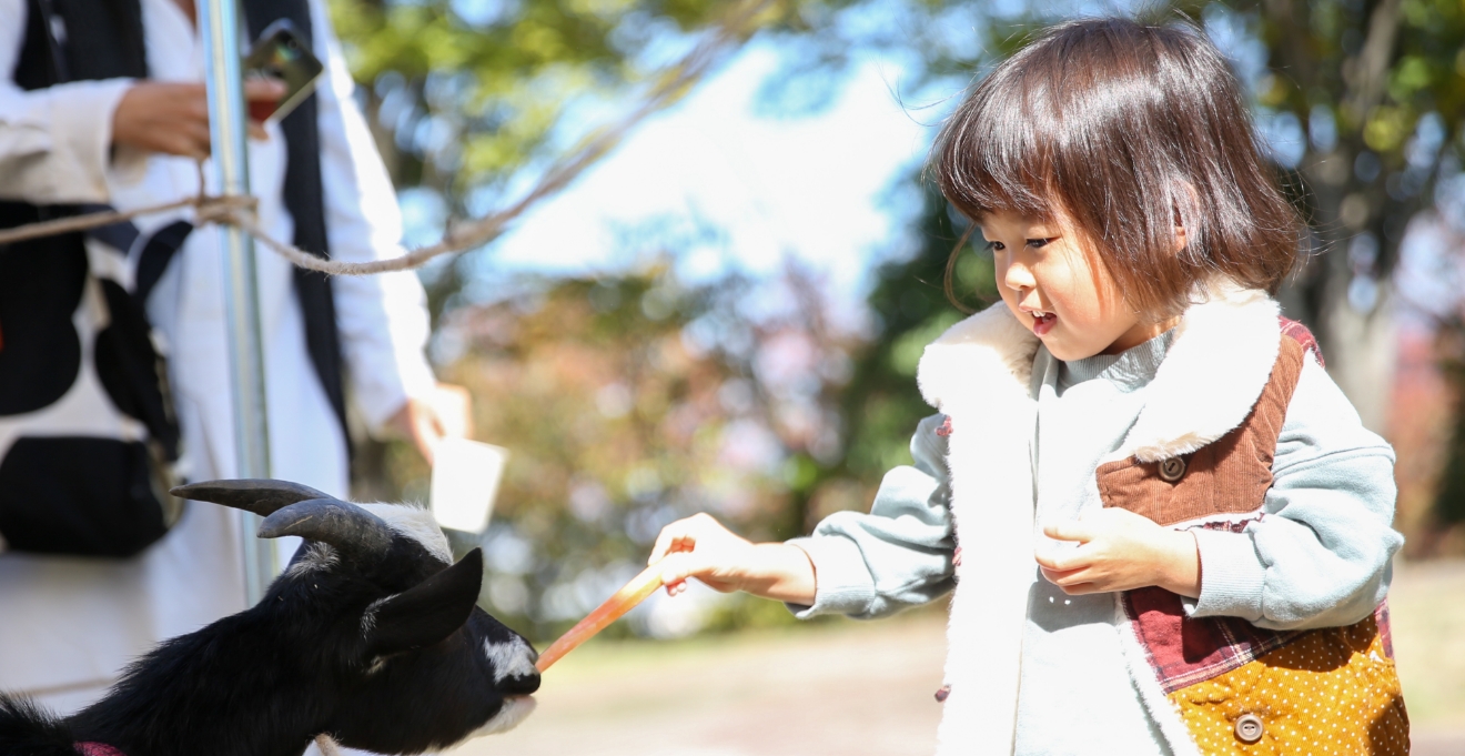 ふれあい動物園（5月）