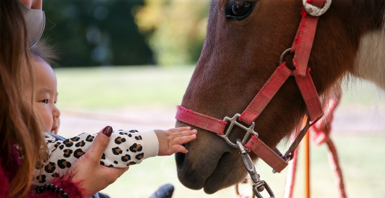 ふれあい動物園（5月）