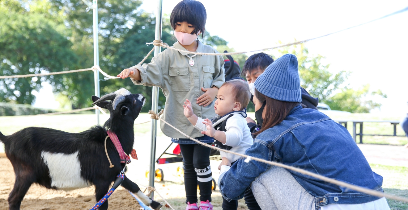 ふれあい動物園（5月）
