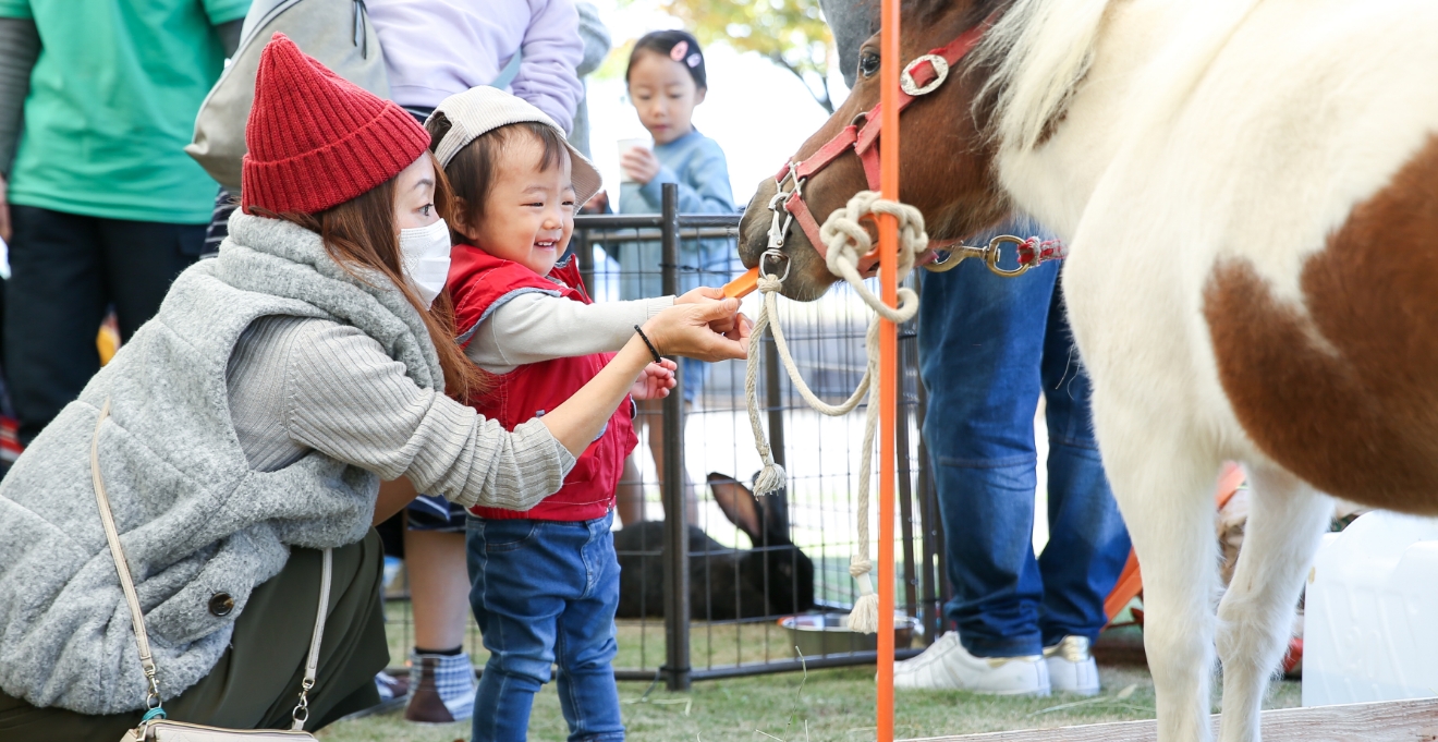 ふれあい動物園（5月）