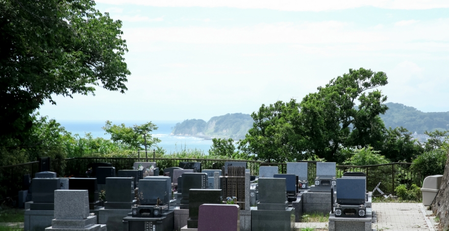 フォトギャラリー