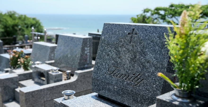 フォトギャラリー