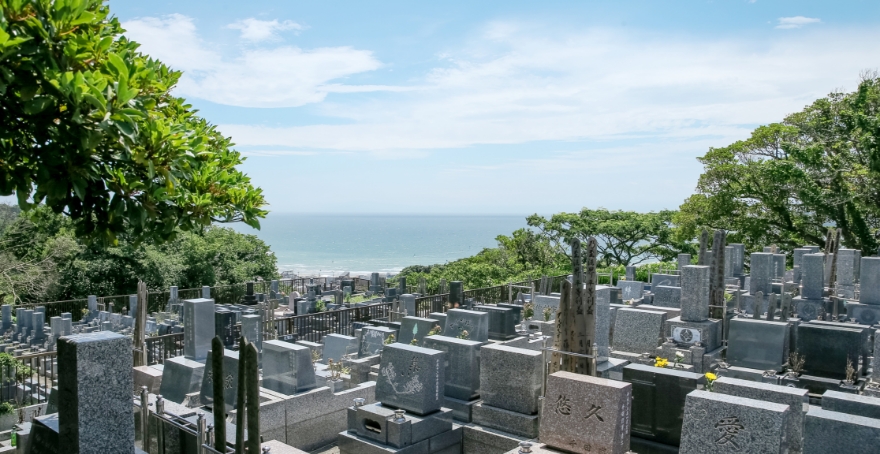 フォトギャラリー