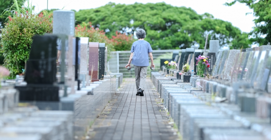 フォトギャラリー