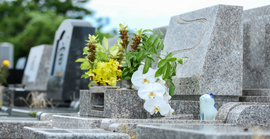 フォトギャラリー