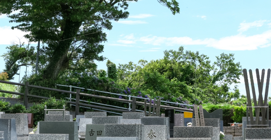 フォトギャラリー