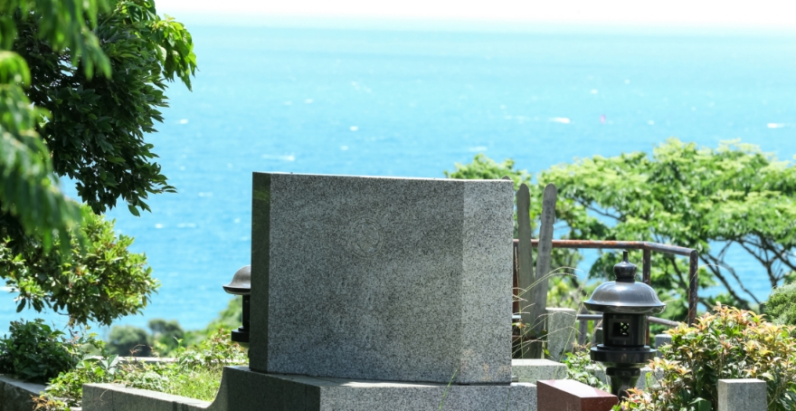 フォトギャラリー