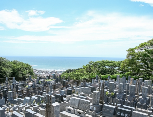 跡継ぎ問題を解消